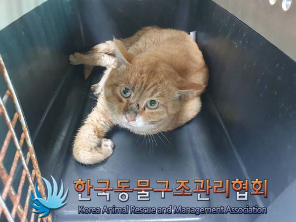 한국동물구조관리협회_441559202401357