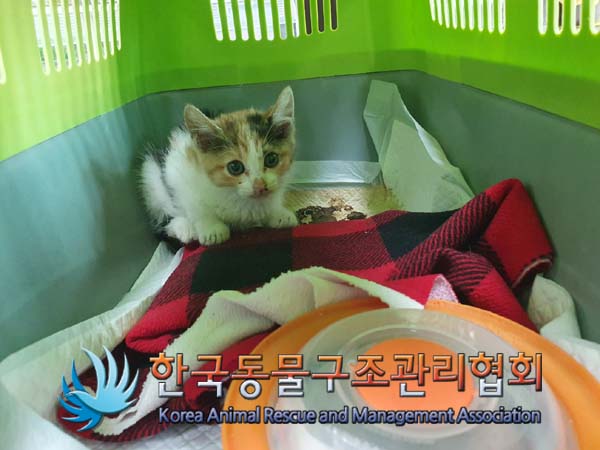한국동물구조관리협회_441559202401355
