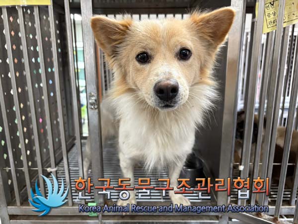 한국동물구조관리협회_411315202400637