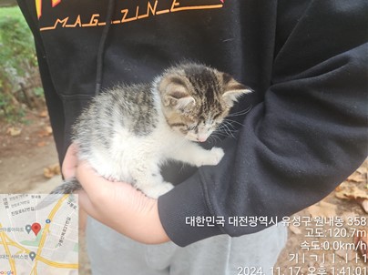 대전동물보호센터_430367202400906