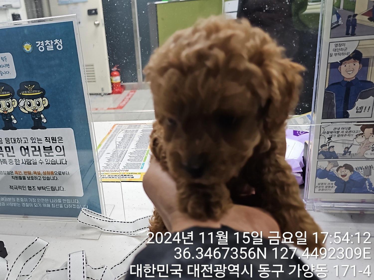 대전동물보호센터_430364202400795