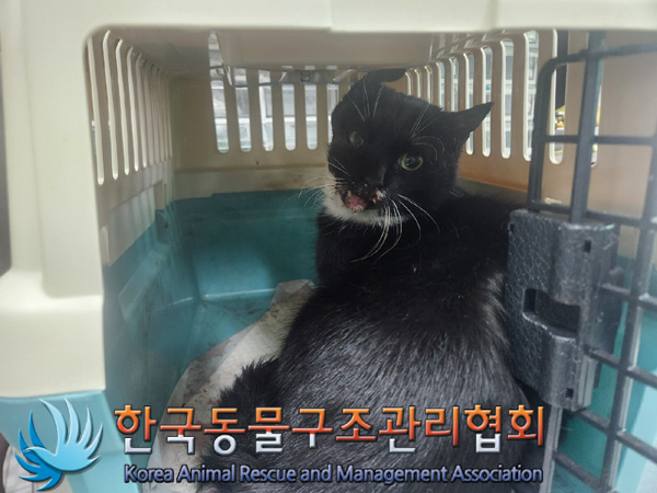 한국동물구조관리협회_411311202401009