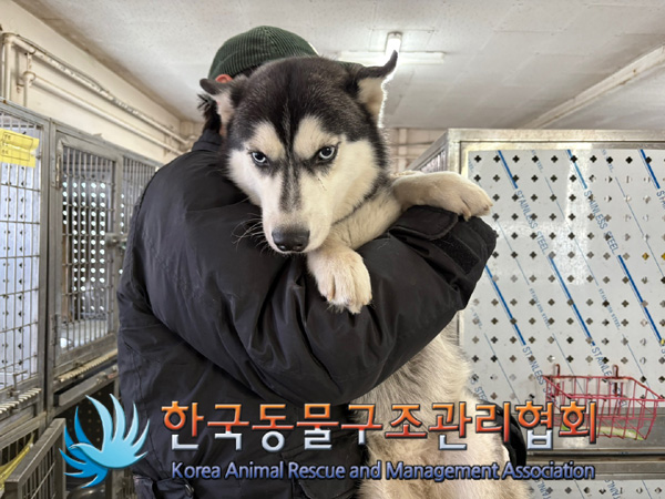 한국동물구조관리협회_411323202401081