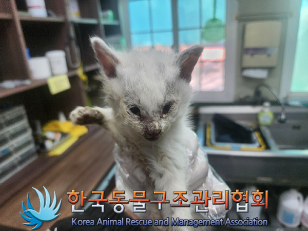 한국동물구조관리협회_441560202401365