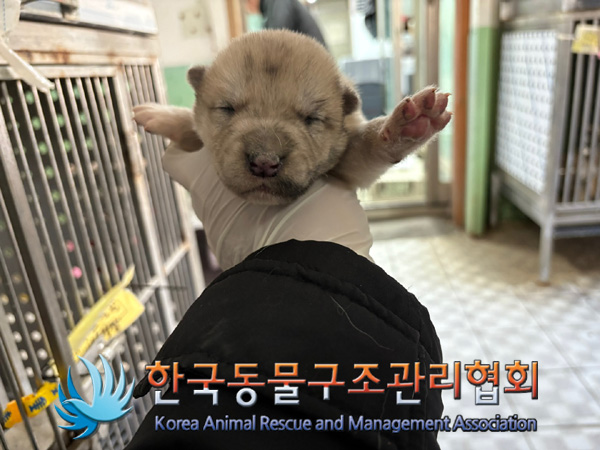 한국동물구조관리협회_441560202401372