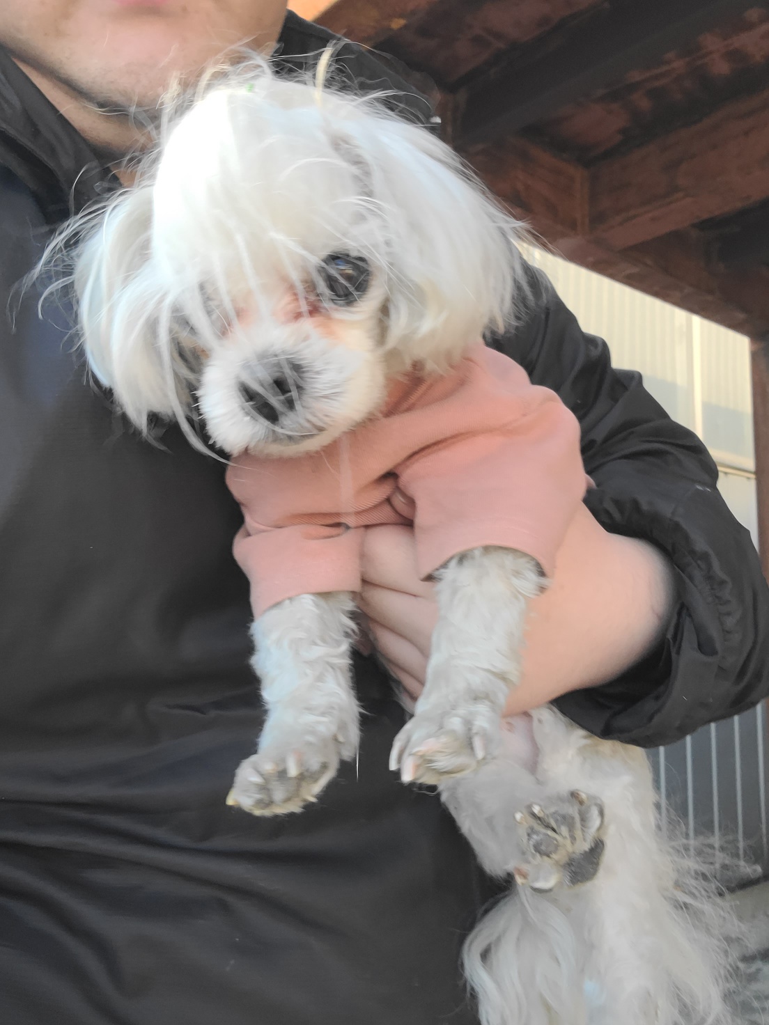 한국야생동물보호협회_441393202402009