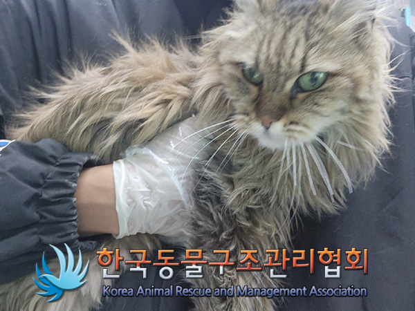 한국동물구조관리협회_411306202400859