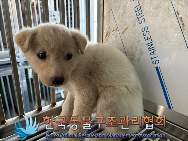 한국동물구조관리협회_411307202400637