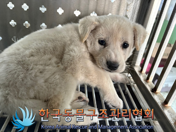 한국동물구조관리협회_411307202400636