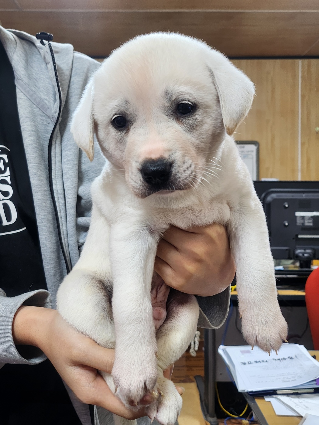 울산유기동물보호센터_431372202400667