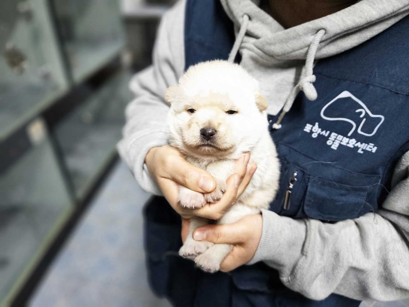 (사)영일동물플러스_447502202401622