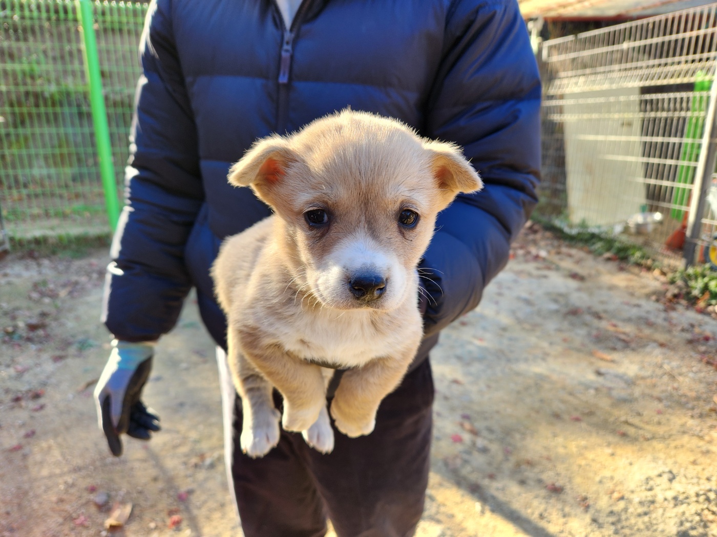 광주TNR동물병원초월_441554202401821