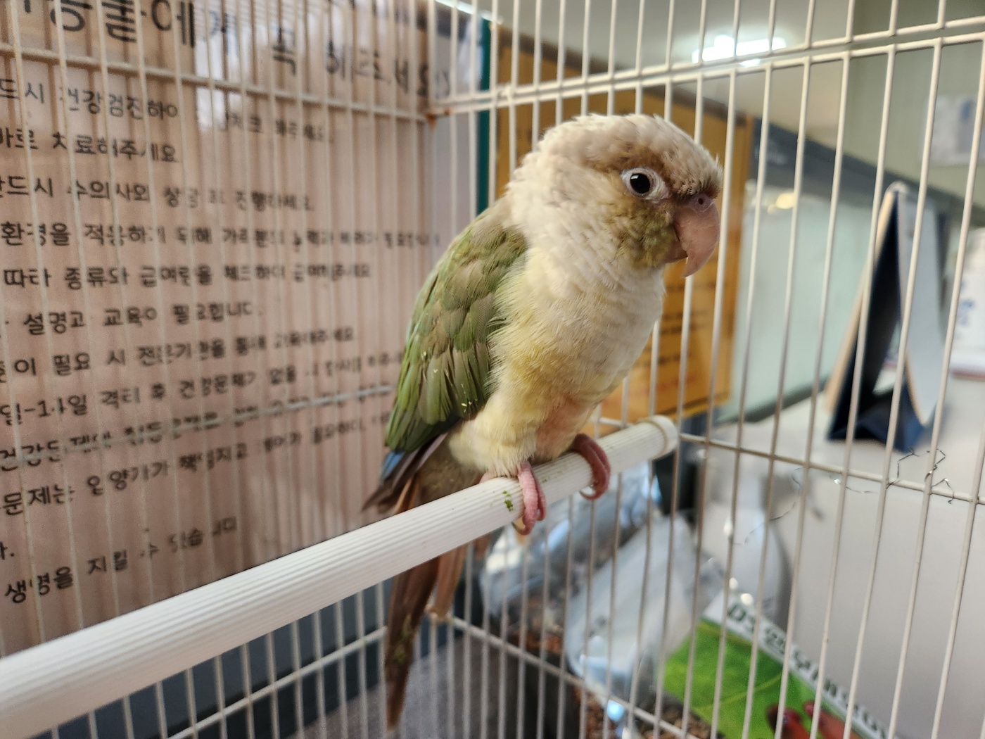한국야생동물보호협회_441402202400677