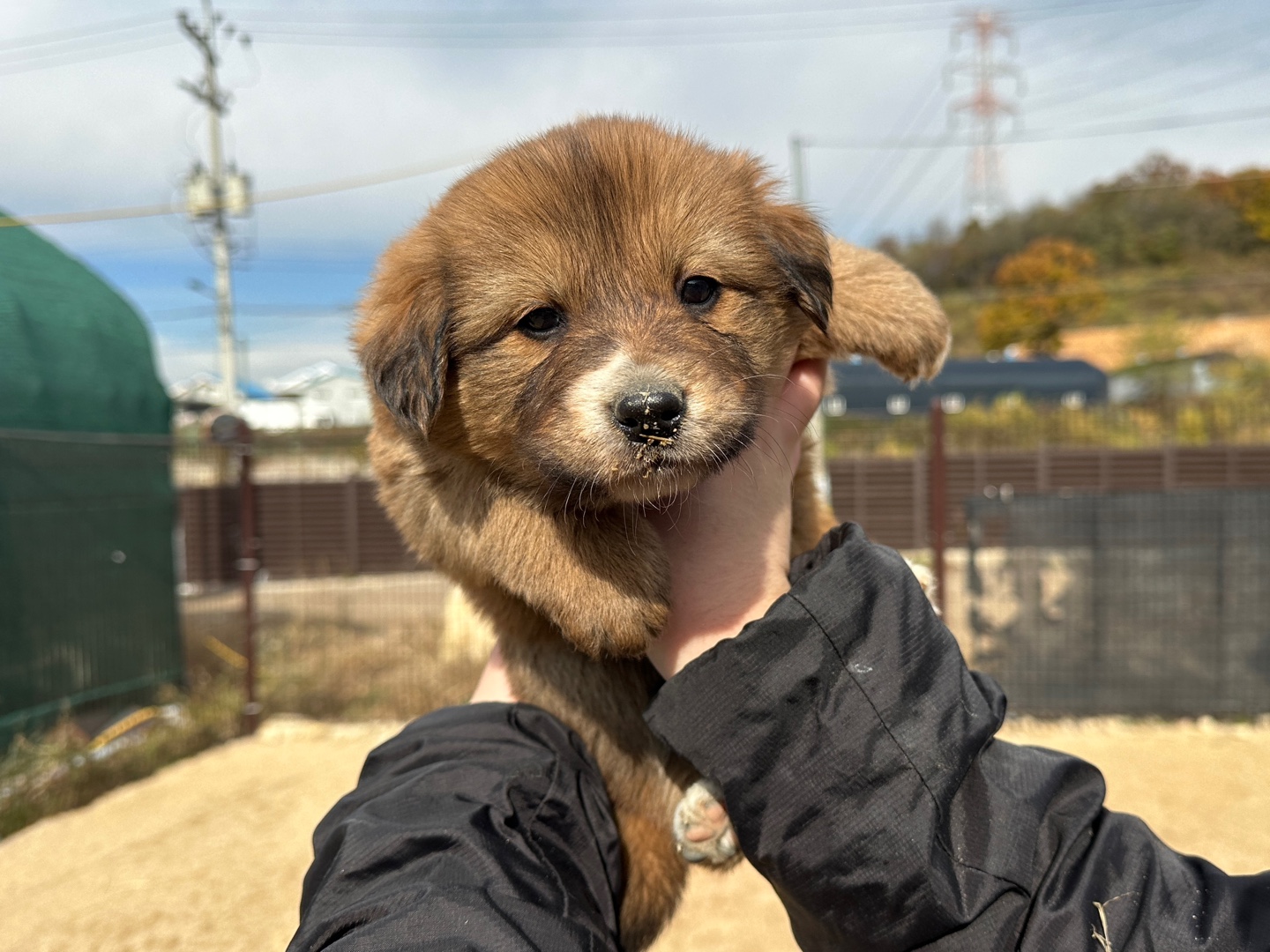한국야생동물보호협회_441393202402016