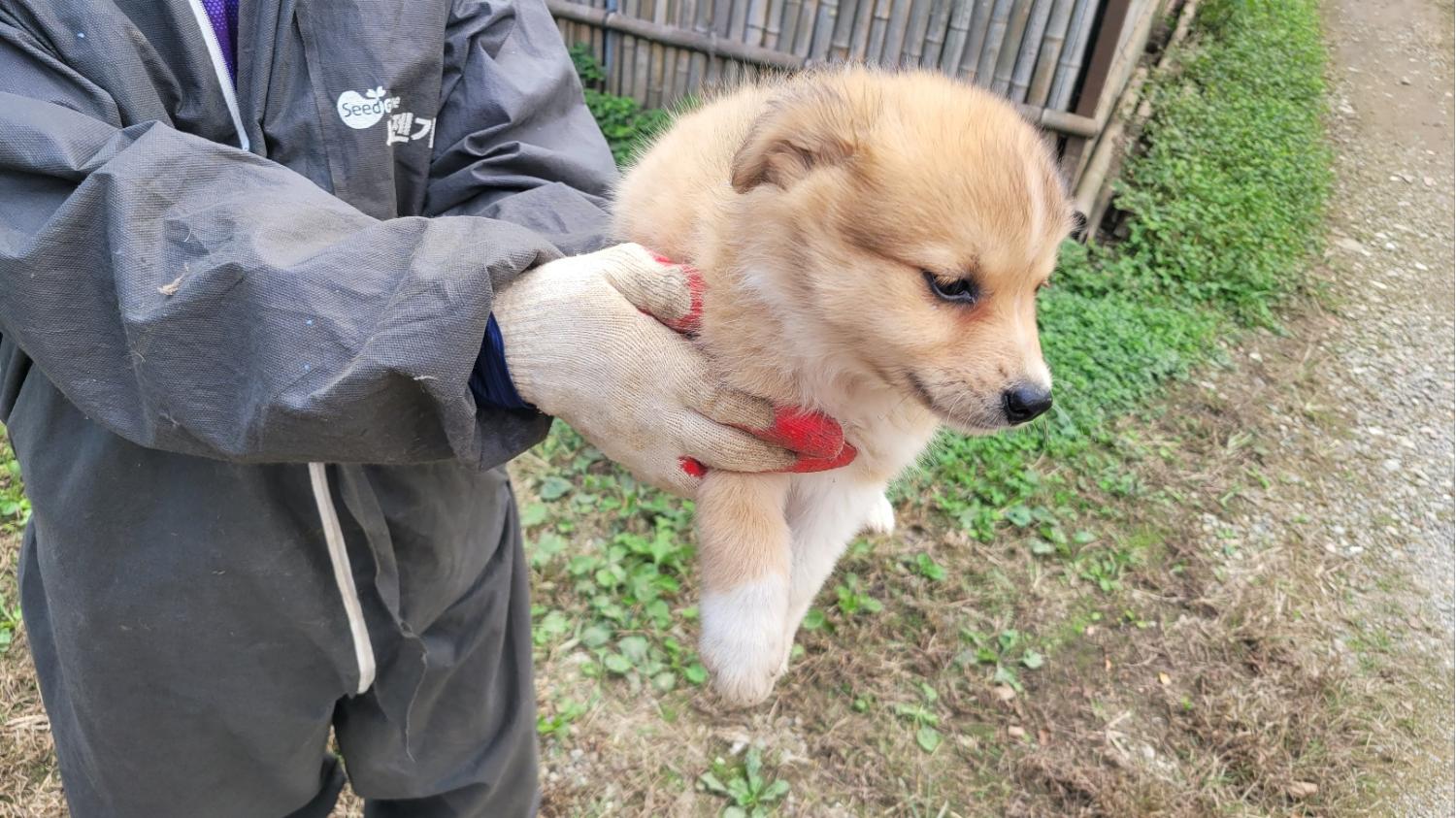 화순군유기동물보호소_446490202400209