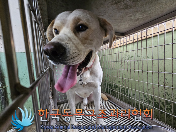 한국동물구조관리협회_441560202401377
