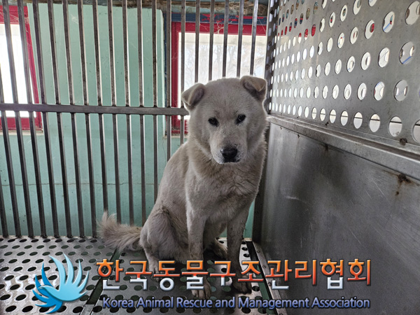 한국동물구조관리협회_441409202401796
