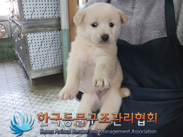 한국동물구조관리협회_441414202400997