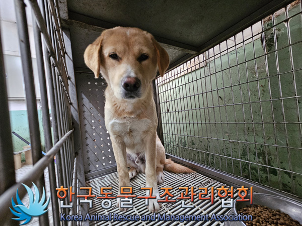 한국동물구조관리협회_441406202402037