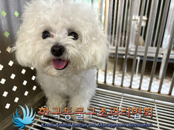 한국동물구조관리협회_441406202402033