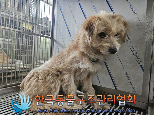 한국동물구조관리협회_441560202401378
