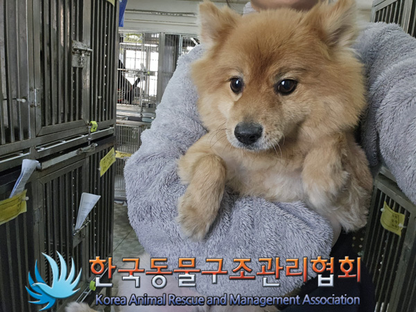 한국동물구조관리협회_441406202402035