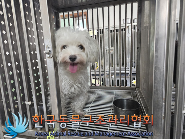 한국동물구조관리협회_441382202400817
