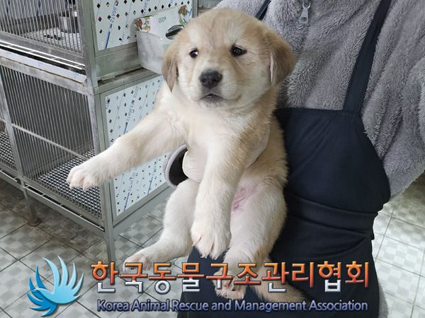 한국동물구조관리협회_441414202400996