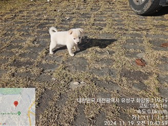 대전동물보호센터_430367202400919