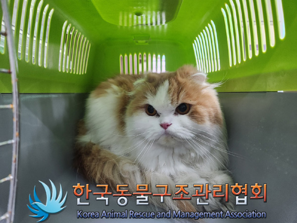 한국동물구조관리협회_411315202400655