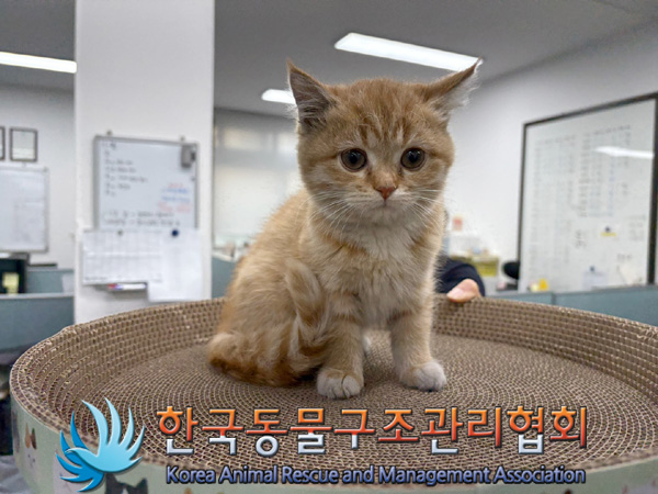 한국동물구조관리협회_411322202400916