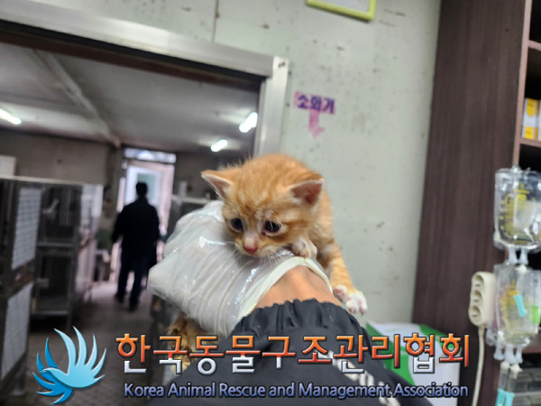 한국동물구조관리협회_441406202402041