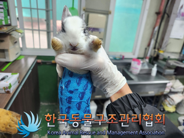 한국동물구조관리협회_411315202400656