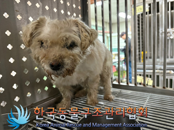 한국동물구조관리협회_411315202400657