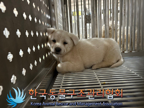 한국동물구조관리협회_441409202401797