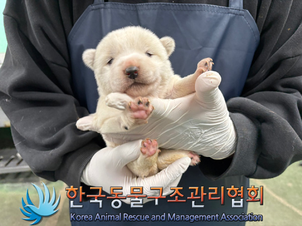 한국동물구조관리협회_441406202402045