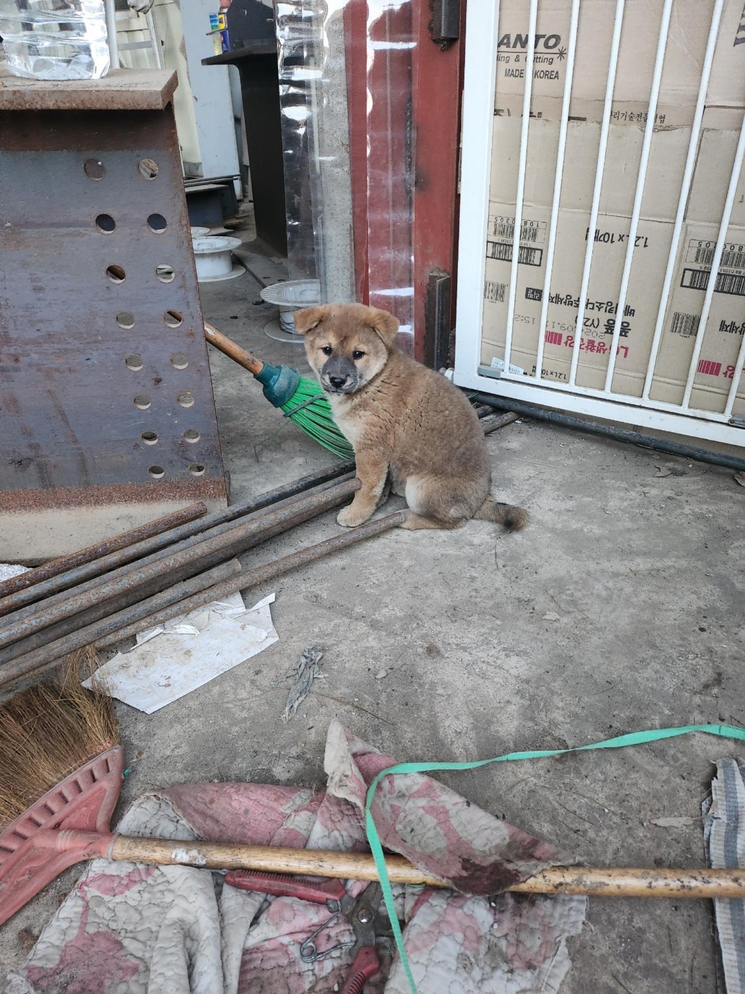 금왕동물병원_443447202400876