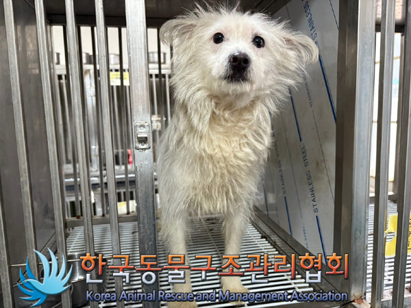 한국동물구조관리협회_411306202400860