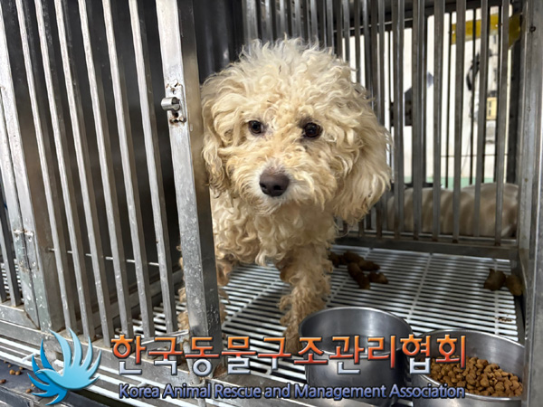 한국동물구조관리협회_441406202402048
