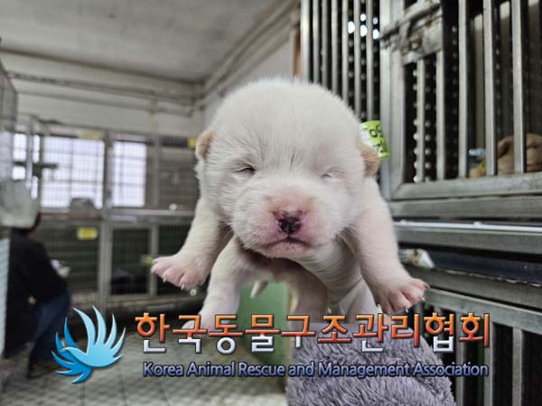 한국동물구조관리협회_441406202402057