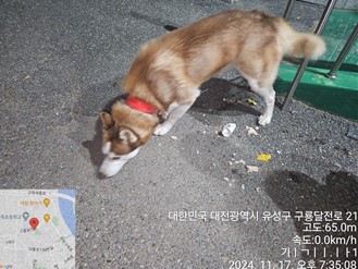 대전동물보호센터_430367202400921