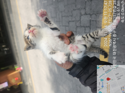 대전동물보호센터_430365202400595