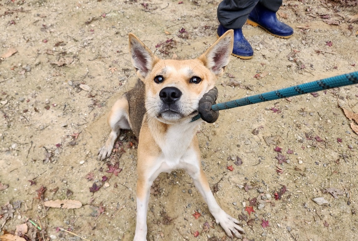 광주TNR동물병원초월_441554202401830