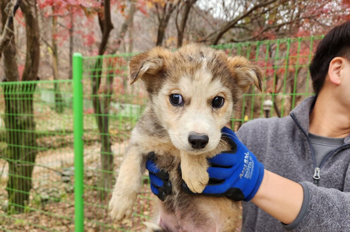 광주TNR동물병원초월_441554202401826
