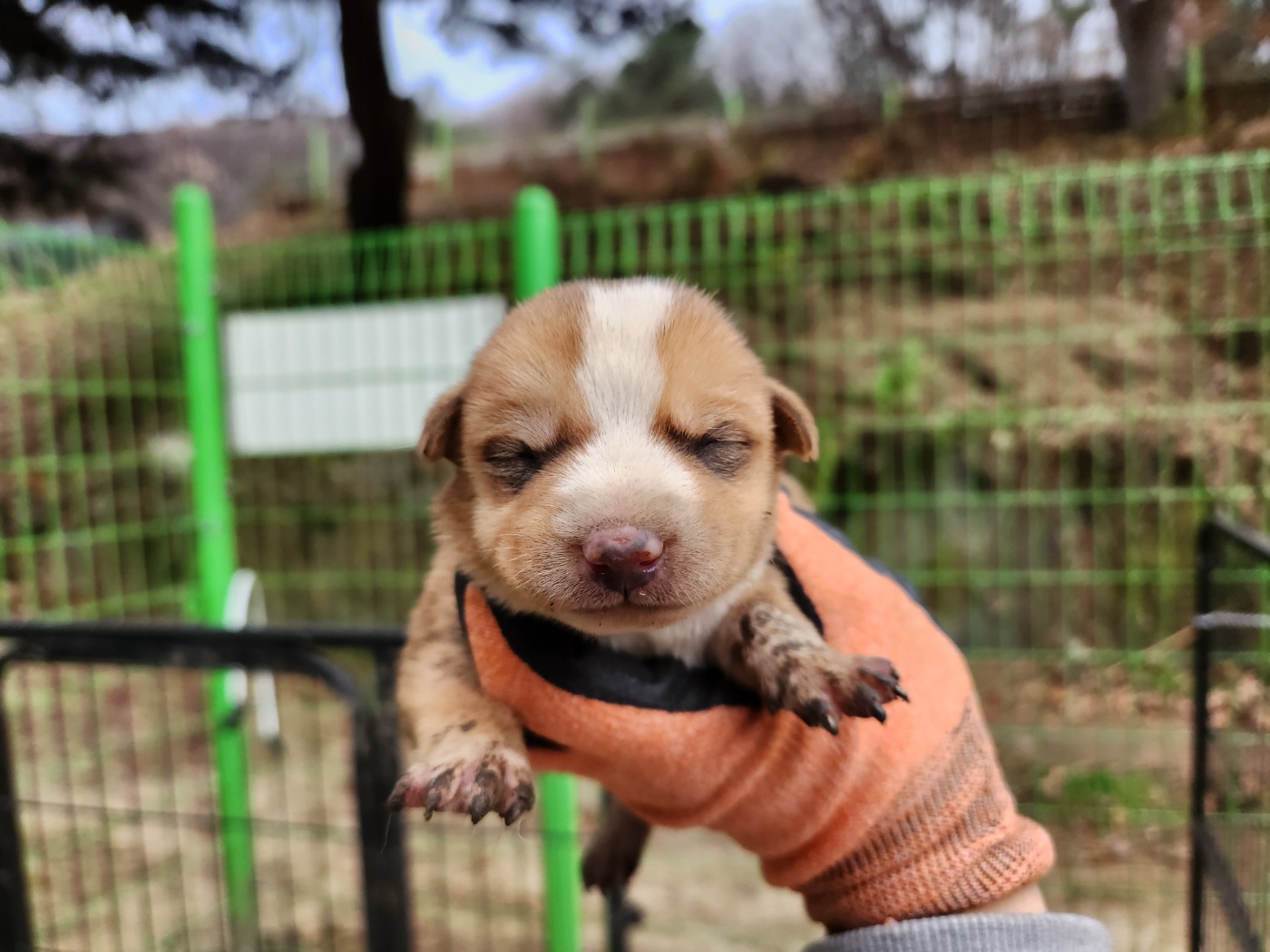 광주TNR동물병원초월_441554202401836
