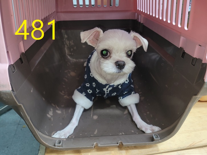 신영재동물병원_428355202400851