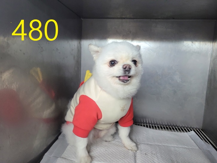 신영재동물병원_428355202400850