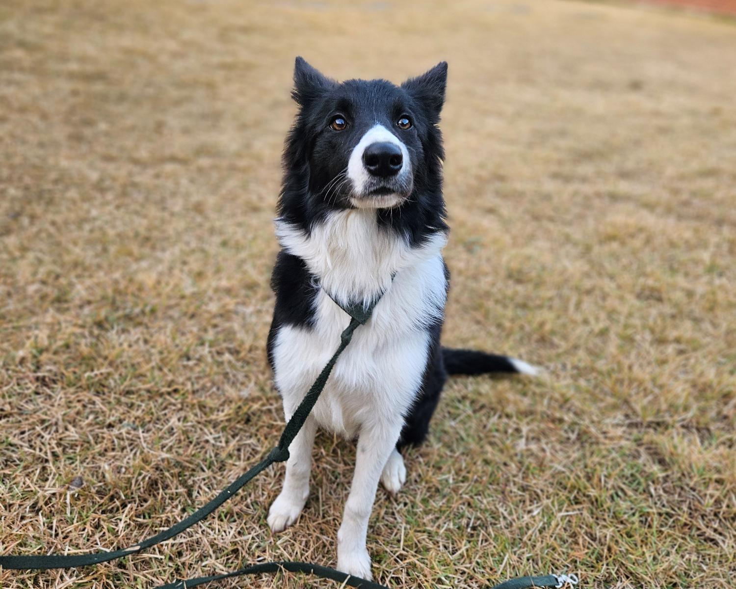 종료(반환) 보더 …