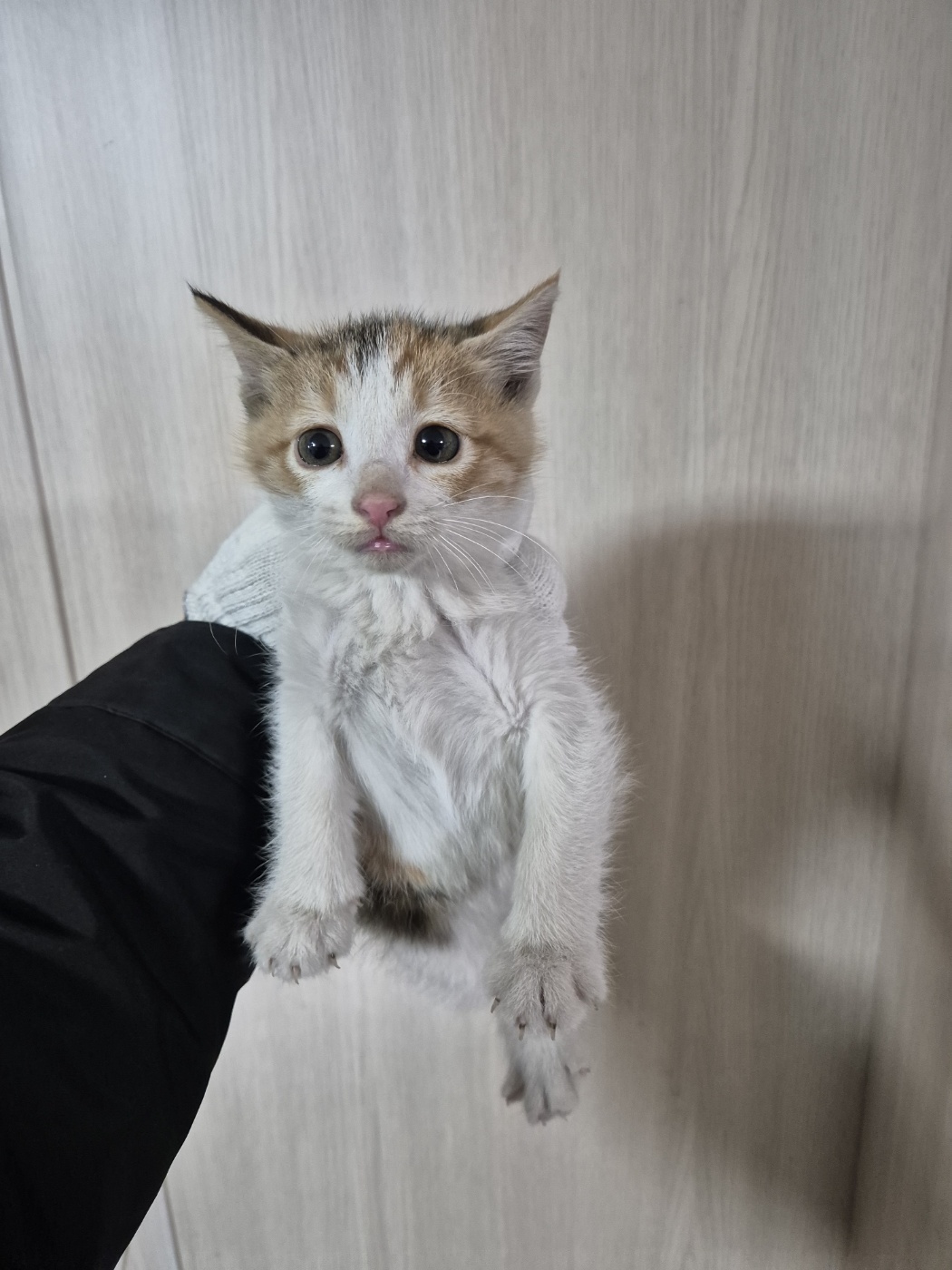 우리동물병원_428356202402015
