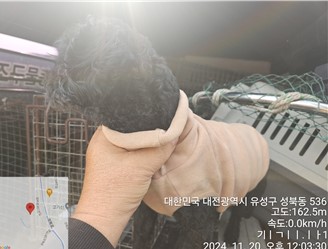 대전동물보호센터_430367202400932